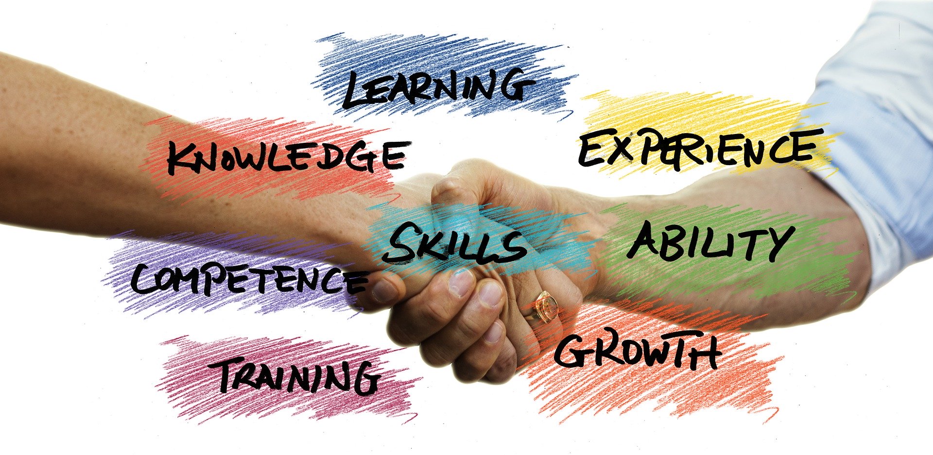 Yourqa training inspectie audits